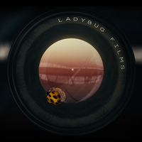 Logo - Ladybug Films