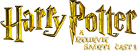 Logo 21