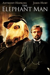 Poster 31