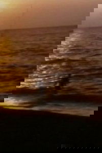 Beach House