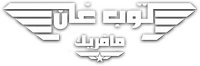 Logo 3