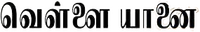 Logo 0