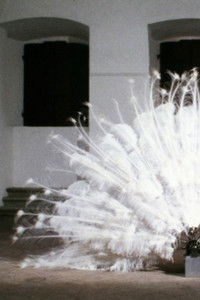 Poster for La Ferdinanda. Sonate für eine Medici-Villa