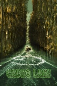 Poster 27