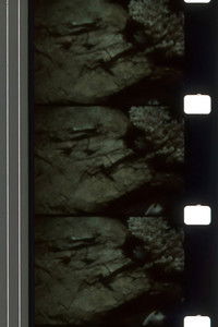 Whispers Delaying Grace