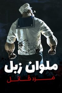 Poster 13