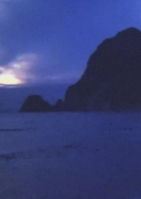 Poster for Walking Works