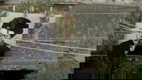 Backdrop 2