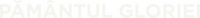 Logo 0