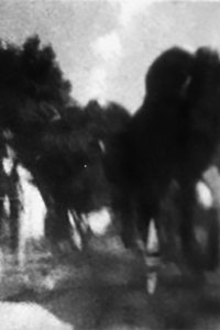 Poster for La route en mer