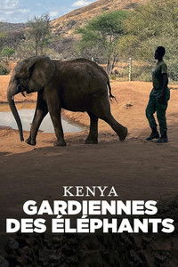 Kenya - Gardiennes des éléphants