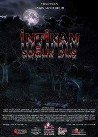 Poster for İntikam Soğuk Duş
