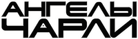 Logo 13