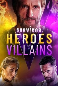 Poster for Heroes vs. Villains