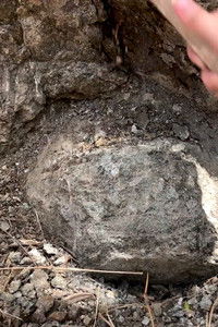 Poster for giroscopio