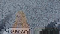 Backdrop 0