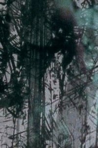Poster for Surfacing