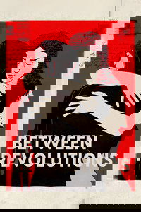 Between Revolutions