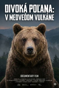 Poster for Divoká Poľana: V medveďom vulkáne