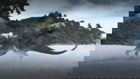 Backdrop 0