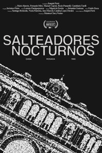 Poster for Salteadores Nocturnos
