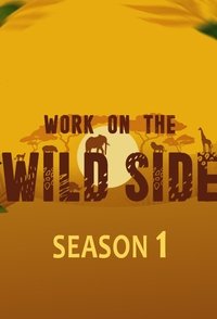 Poster for Season 1