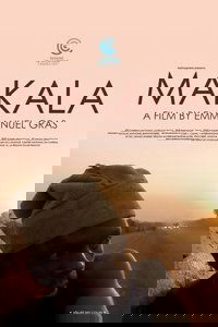 Poster 3