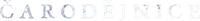 Logo 12