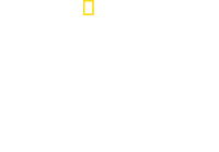 Logo 6