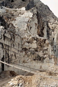 Poster for Blossoms and fruits at once