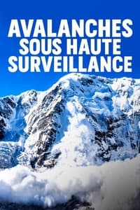 poster Avalanches sous haute surveillance