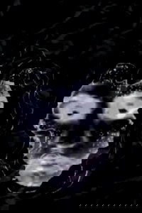 The Linear of Nightmare