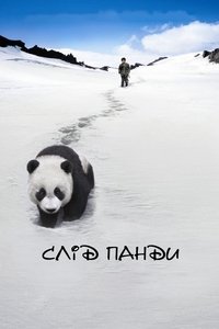 Poster 5