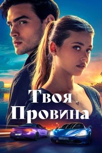 Poster 13