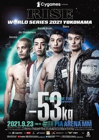 Poster 3
