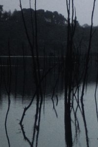 Poster for Sleeping waters