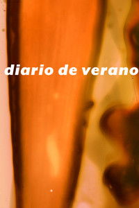 Poster for summer diary