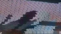Backdrop 0