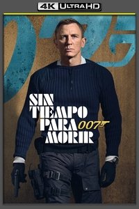 Poster 317