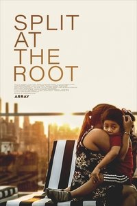Poster for Split at the Root