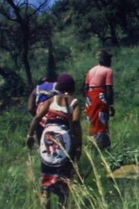 Poster for Les Sangomas