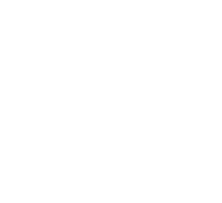 Logo 29