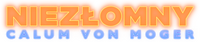 Logo 9