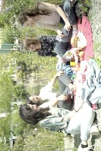Des bagnoles et des arbres