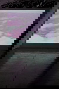 Spatial Disorientation