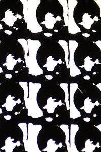 Poster for Screen Tone Music