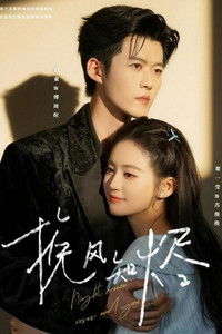 Poster for 挽风知烬