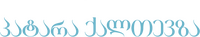 Logo 60