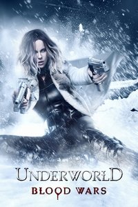 Poster 113