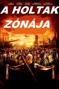 Poster 8